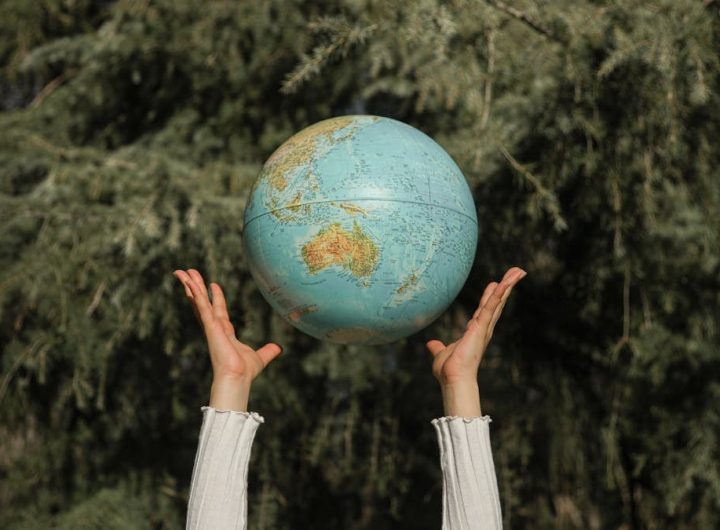Hands raising a globe against a lush green tree backdrop, symbolizing environmental awareness.